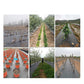 Weed Control Fabric