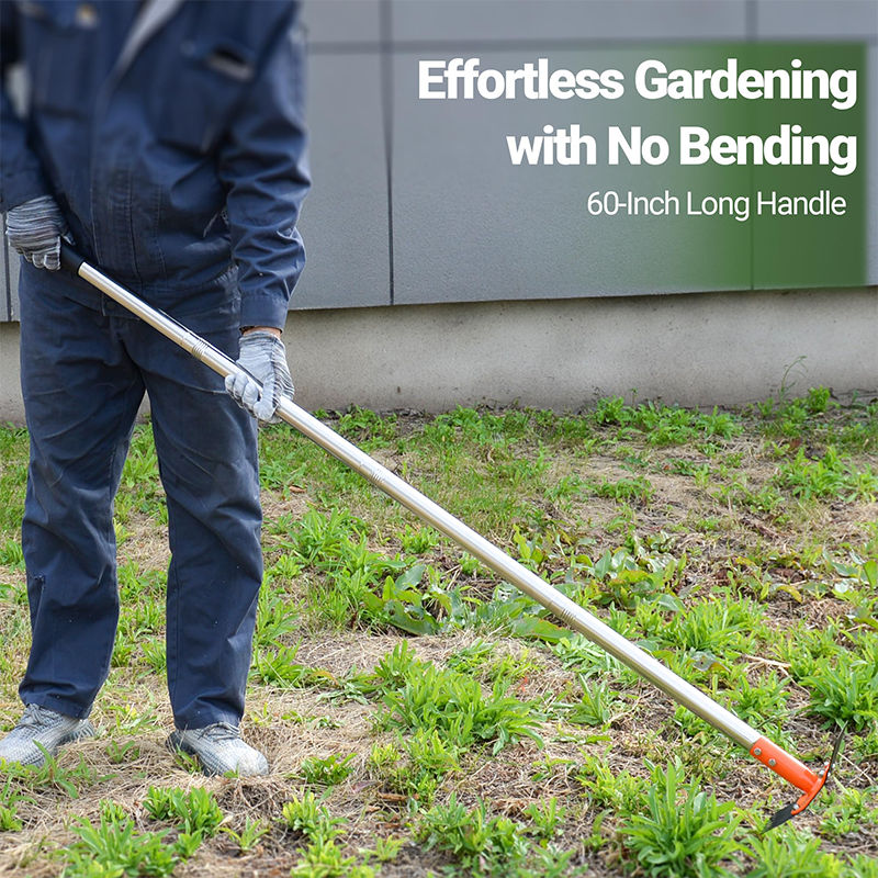 🔥44% OFF for a limited time🔥2-in-1 Garden Hoe and Rake with Long Handle