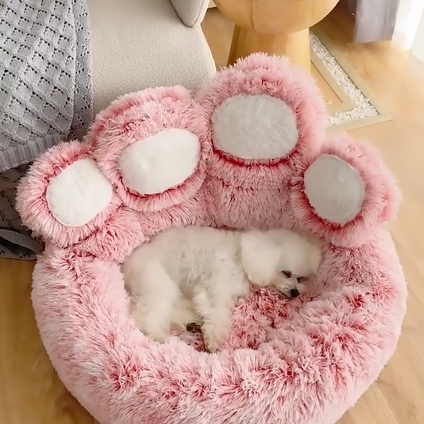 💐50% OFF ! Orthopedic Paw Bed – Memory Foam & Optimal Support 🧠💤【Limited Offer】