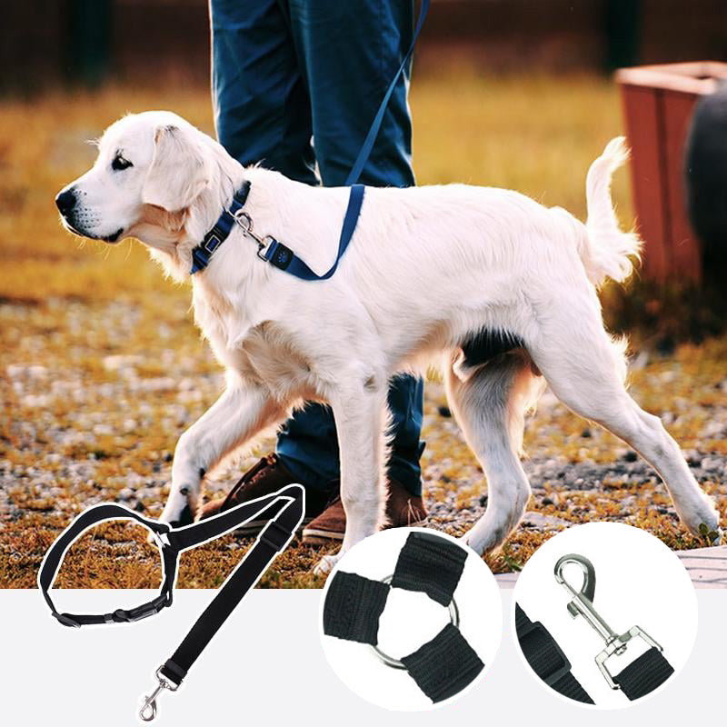 Adjustable Dog Seat Belt