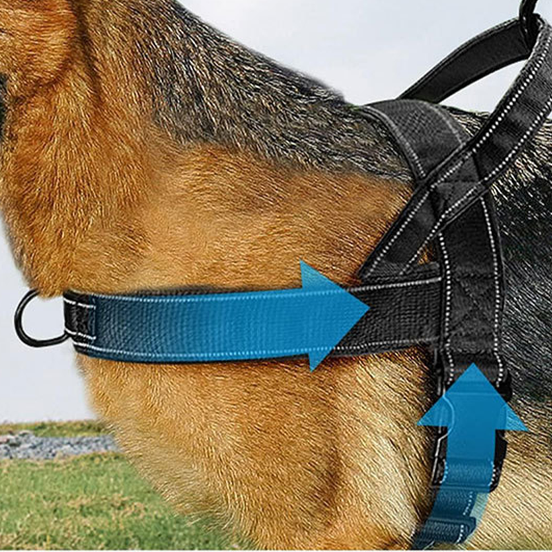 📢📢50% OFF !! ⏰ Heavy‑Duty Tactical Dog Harness – No‑pull, no‑choke. 🛡️✨