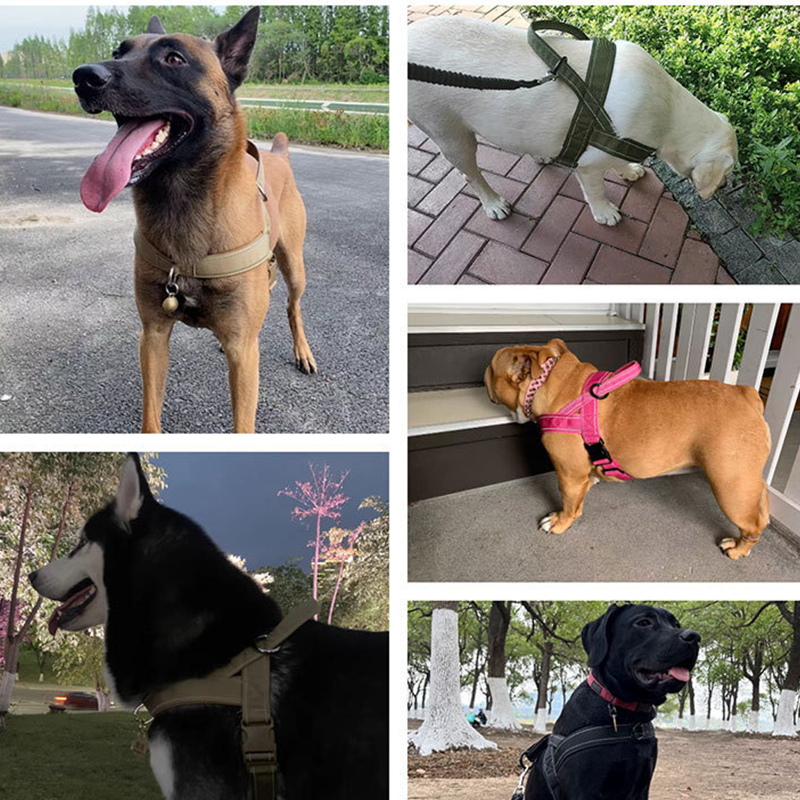📢📢50% OFF !! ⏰ Heavy‑Duty Tactical Dog Harness – No‑pull, no‑choke. 🛡️✨