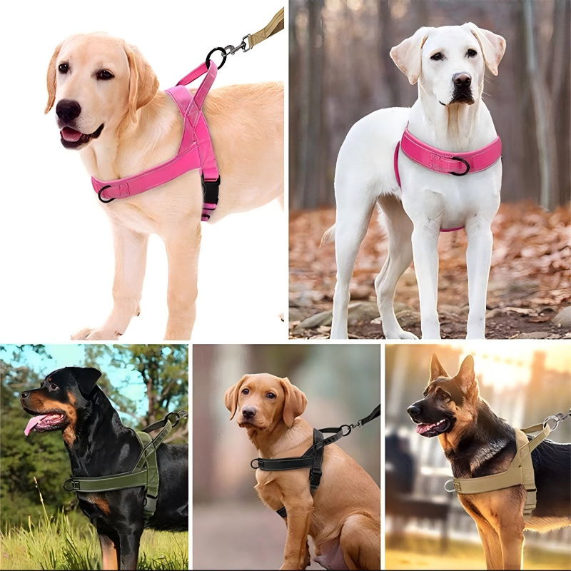 📢📢50% OFF !! ⏰ Heavy‑Duty Tactical Dog Harness – No‑pull, no‑choke. 🛡️✨