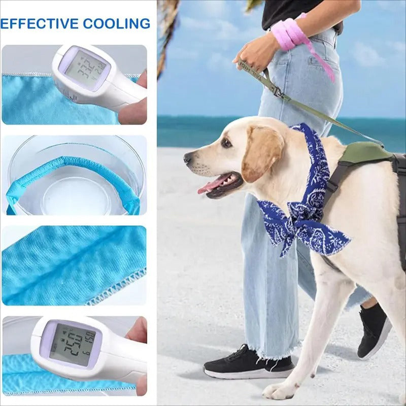 🐶🐱❄️Summer Pet Cooling Collar Wrap
