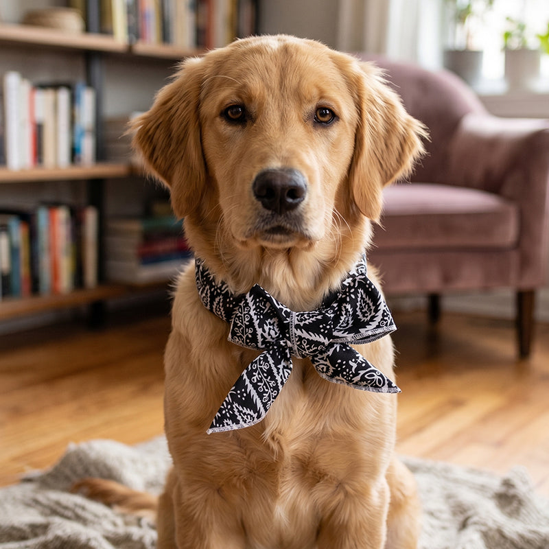 🐶🐱❄️Summer Pet Cooling Collar Wrap