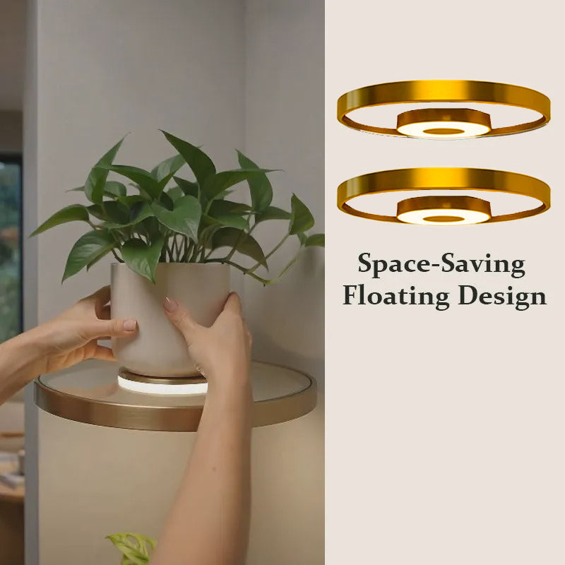 🎉 2026 Sale — Over 27,000 Sold! 🪴 Floating Wall Shelf with Built-in Ambient LED Light – Modern Plant Display 💛