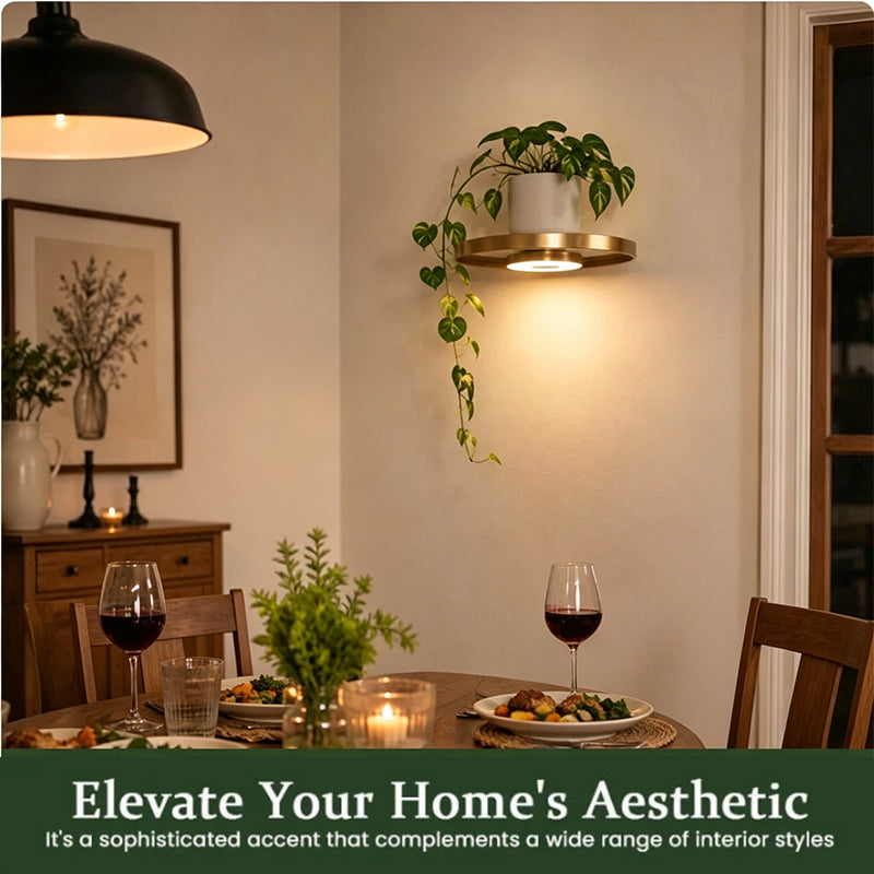 🎉 2026 Sale — Over 27,000 Sold! 🪴 Floating Wall Shelf with Built-in Ambient LED Light – Modern Plant Display 💛