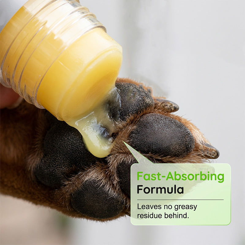 🎁2026 New Arrivals 50% OFF💥Pet Paw Balm Stick – Moisturizes, soothes & protects – Gentle, Natural, Portable ✨