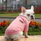 🐕✨ Cozy Knit Pet Sweater – 50% OFF! Insulating ribbed knit, stretchable trim, 9 colours – keeps small pets warm & free to move. 💪
