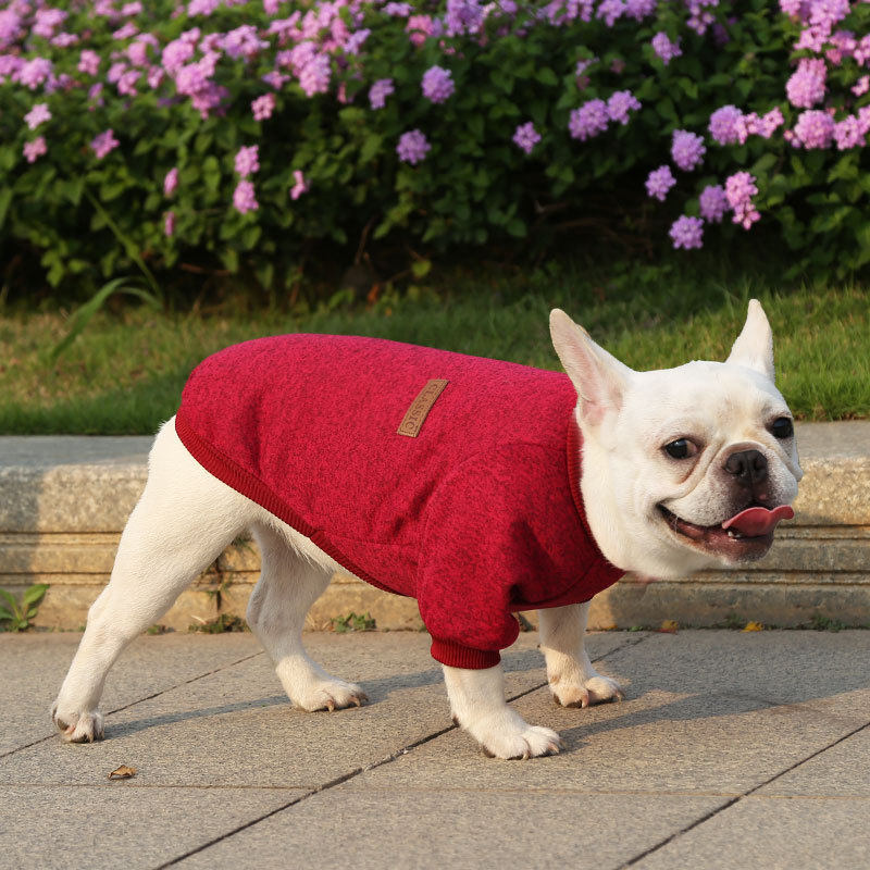 🐕✨ Cozy Knit Pet Sweater – 50% OFF! Insulating ribbed knit, stretchable trim, 9 colours – keeps small pets warm & free to move. 💪