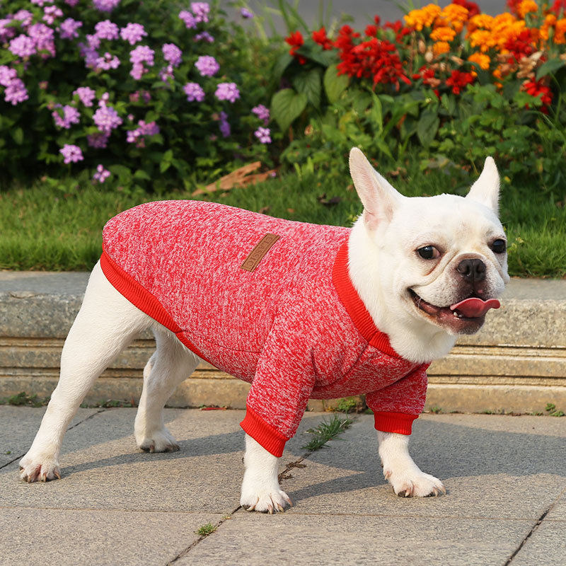 🐕✨ Cozy Knit Pet Sweater – 50% OFF! Insulating ribbed knit, stretchable trim, 9 colours – keeps small pets warm & free to move. 💪