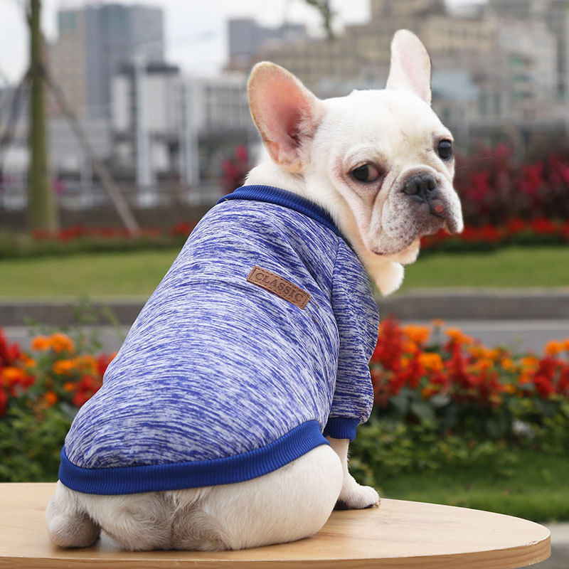 🐕✨ Cozy Knit Pet Sweater – 50% OFF! Insulating ribbed knit, stretchable trim, 9 colours – keeps small pets warm & free to move. 💪